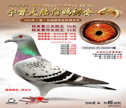 ��Ӣ�����ظ���56��