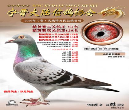 ��Ӣ�����ظ���61��