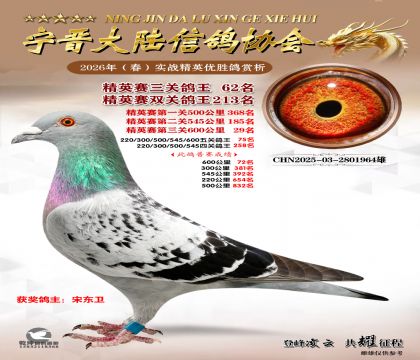 ��Ӣ�����ظ���62��