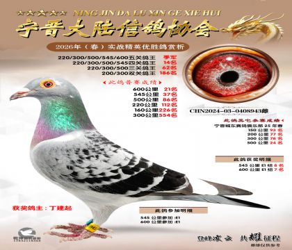 ��ظ�������