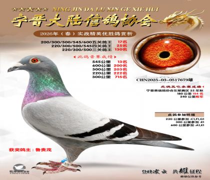 ��ظ���17��