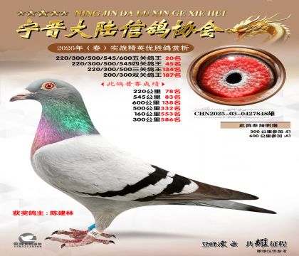 ��ظ���20��