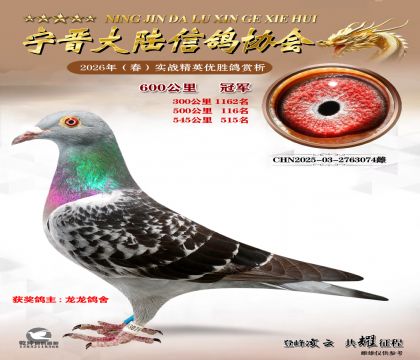 600����ھ�