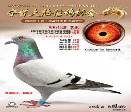 600���＾��