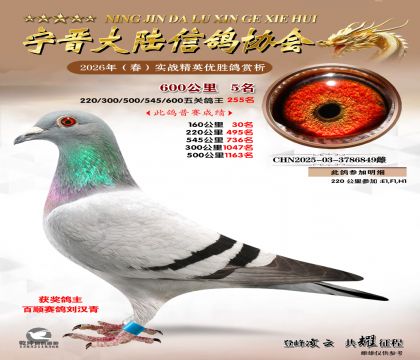 600����5��