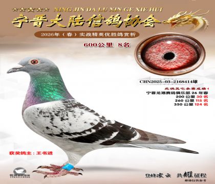 600����8��