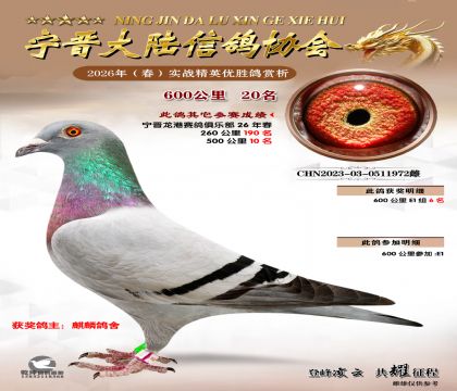 600����20��