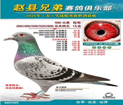 600����ھ�