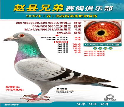 ��ظ����ھ�