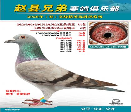 ��ظ���11��