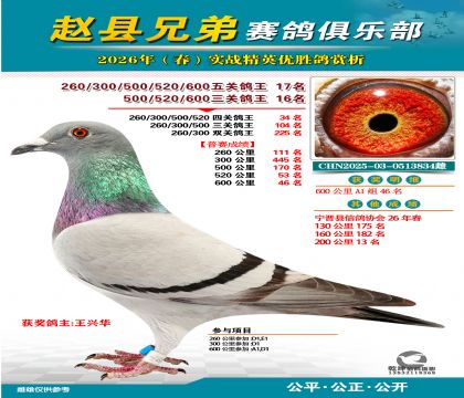 ��ظ���17��