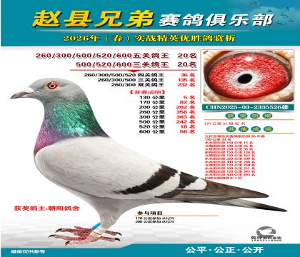 ��ظ���20��