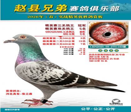 ��Ӣ�����ظ����ھ�