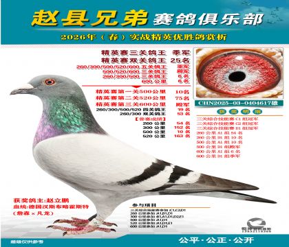 ��Ӣ�����ظ�������