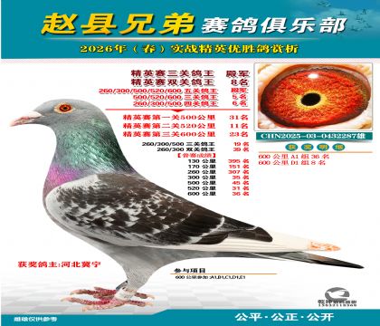 ��Ӣ�����ظ���4��