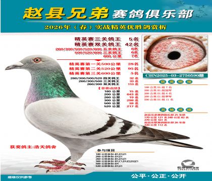 ��Ӣ�����ظ���5��