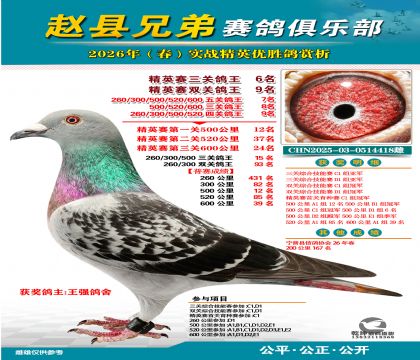 ��Ӣ�����ظ���6��