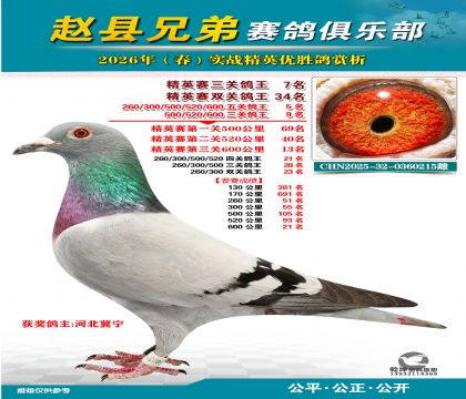 ��Ӣ�����ظ���7��