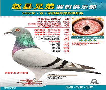 ��Ӣ�����ظ���8��