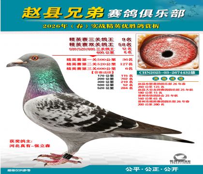 ��Ӣ�����ظ���9��