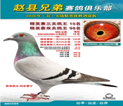 ��Ӣ�����ظ���10��