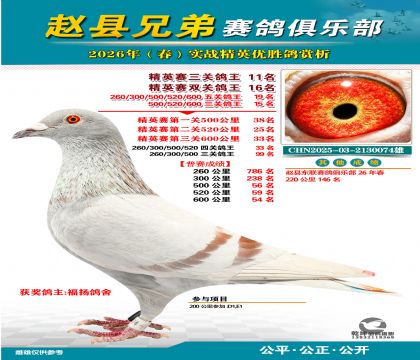 ��Ӣ�����ظ���11��