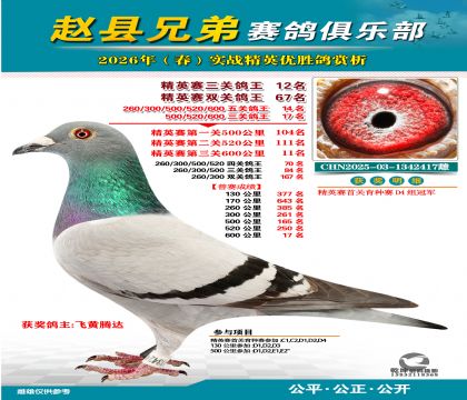 ��Ӣ�����ظ���12��