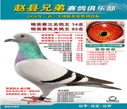 ��Ӣ�����ظ���14��