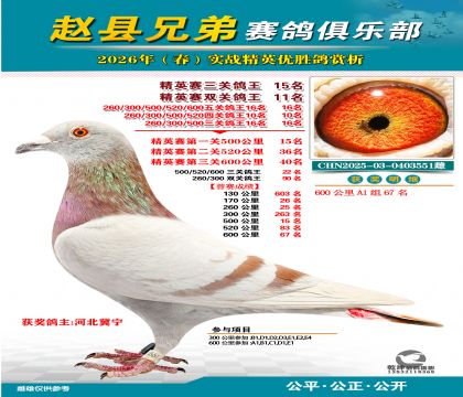 ��Ӣ�����ظ���15��