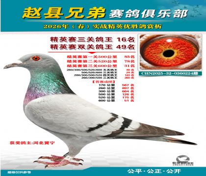 ��Ӣ�����ظ���16��