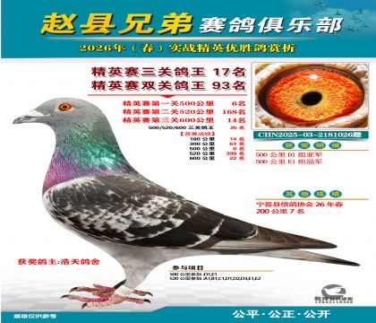 ��Ӣ�����ظ���17��