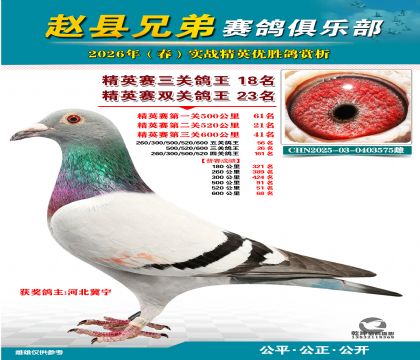 ��Ӣ�����ظ���18��