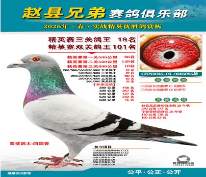 ��Ӣ�����ظ���19��