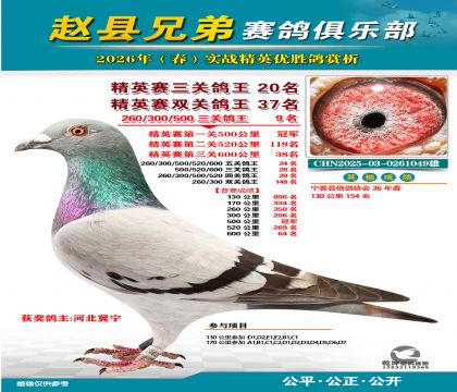 ��Ӣ�����ظ���20��