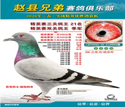 ��Ӣ�����ظ���21��