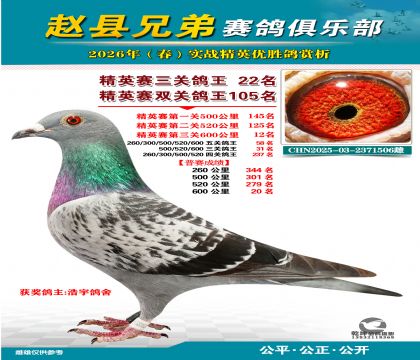 ��Ӣ�����ظ���22��