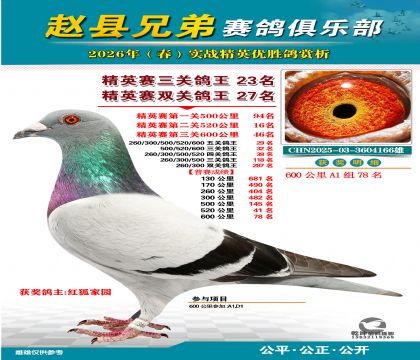 ��Ӣ�����ظ���23��