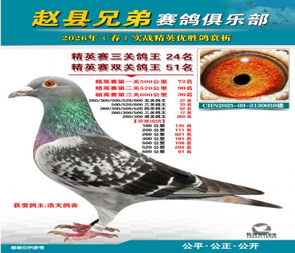 ��Ӣ�����ظ���24��