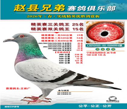 ��Ӣ�����ظ���25��