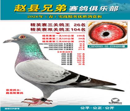 ��Ӣ�����ظ���26��