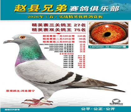 ��Ӣ�����ظ���27��