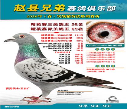 ��Ӣ�����ظ���28��