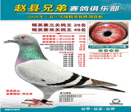 ��Ӣ�����ظ���29��