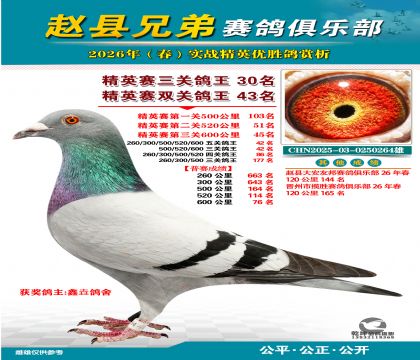 ��Ӣ�����ظ���30��