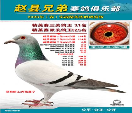 ��Ӣ�����ظ���31��