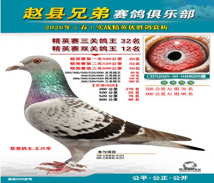 ��Ӣ�����ظ���32��