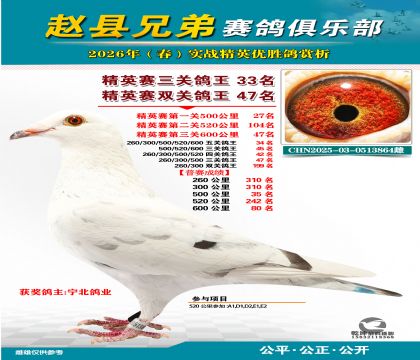 ��Ӣ�����ظ���33��