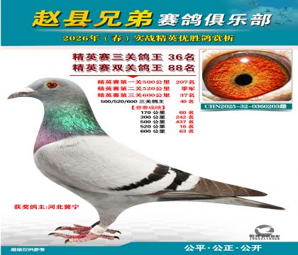 ��Ӣ�����ظ���36��