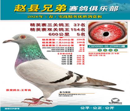 ��Ӣ�����ظ���37��