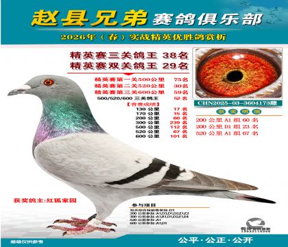 ��Ӣ�����ظ���38��